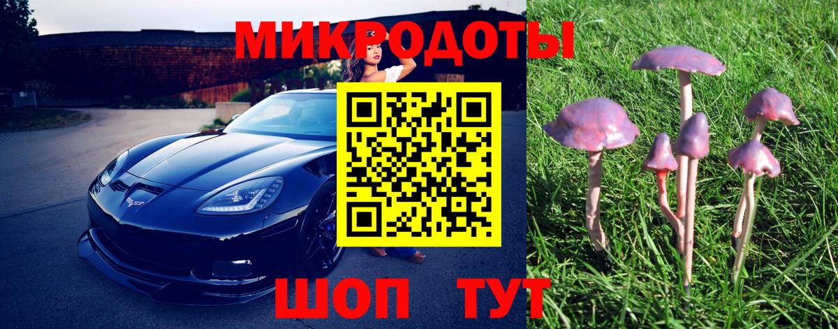 Псилоцибиновые грибы мицелий Донецк